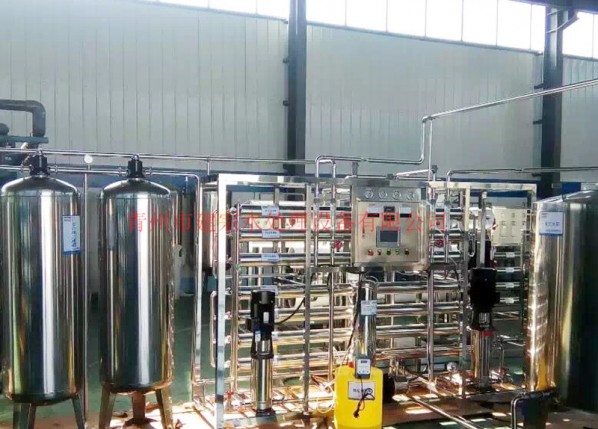 1.5 ton stainless steel double reverse osmosis equipment
