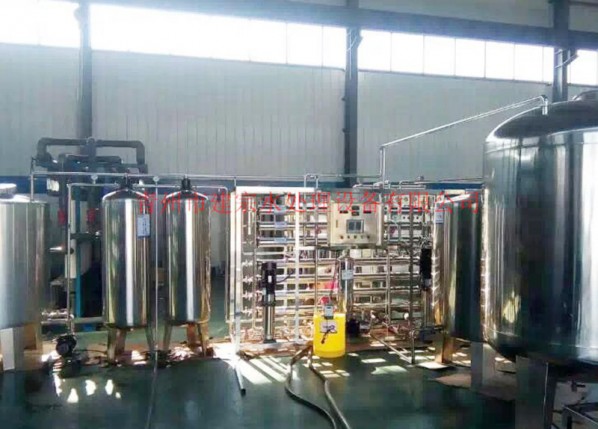 1.5 ton stainless steel double reverse osmosis equipment